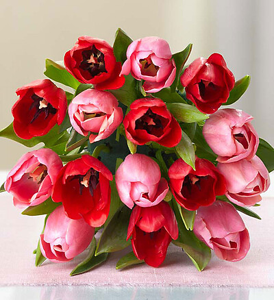 Sweetest Love Tulips