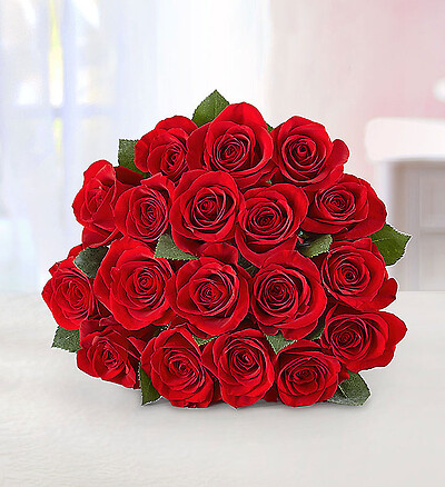 Red Roses, 18 Stems